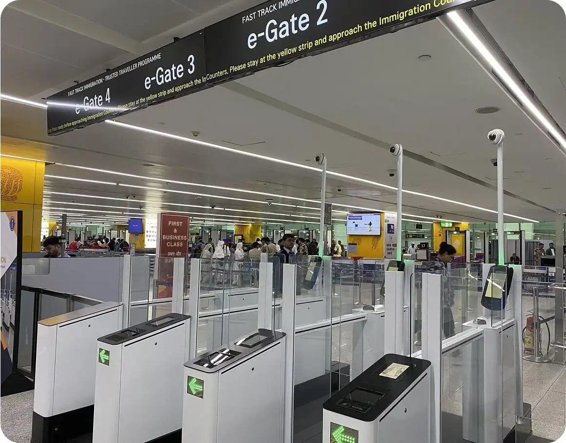 Immigration and customs